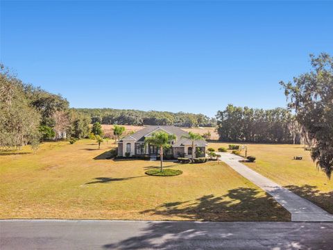 Photo of 14308 Willow Run, Dade City, FL 33523 (MLS # O6371736)