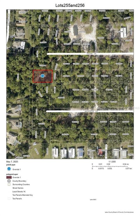Lots 255 & 256 GOLDEN CIRCLE MOUNT DORA FL 32757