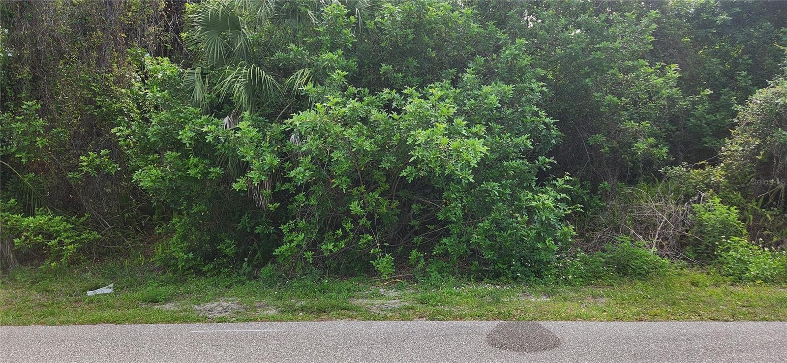409 VERONA STREET - Photo 3