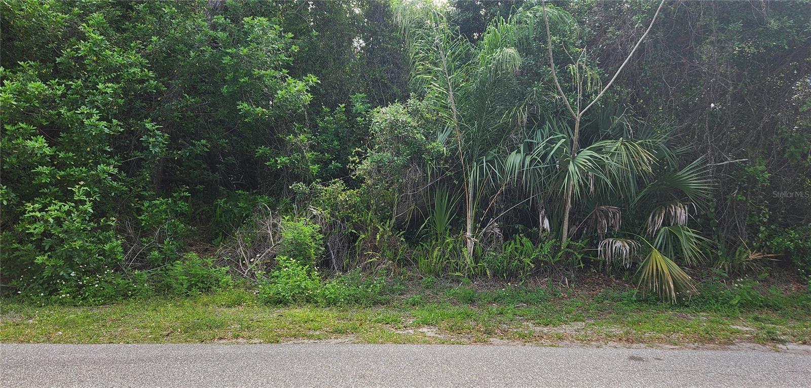 409 VERONA STREET - Photo 2