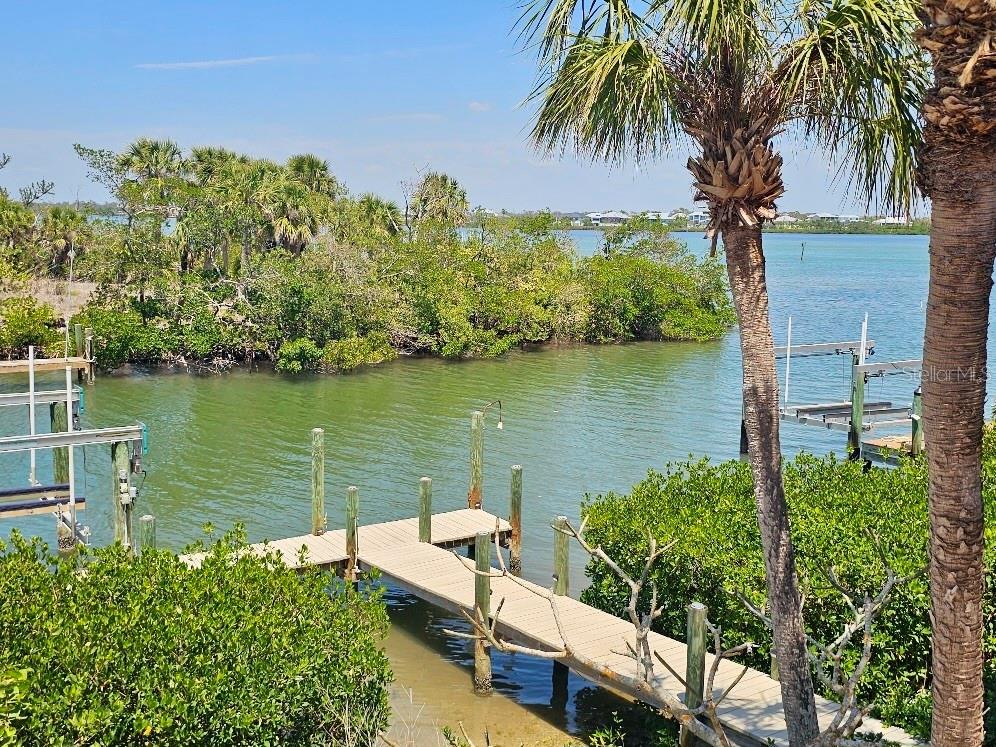 79 PALM DRIVE