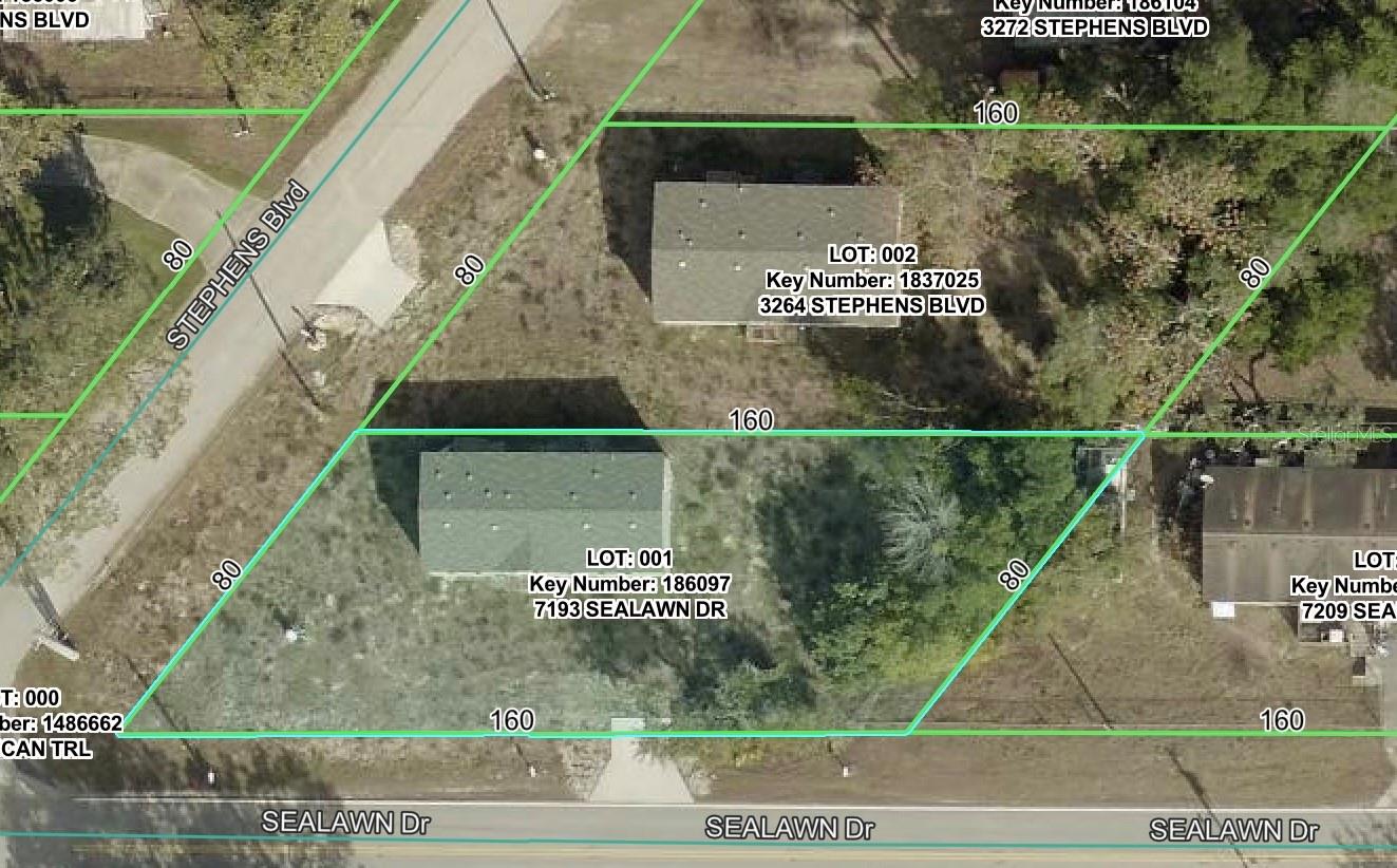 WEEKI WACHEE ACRES - Residential