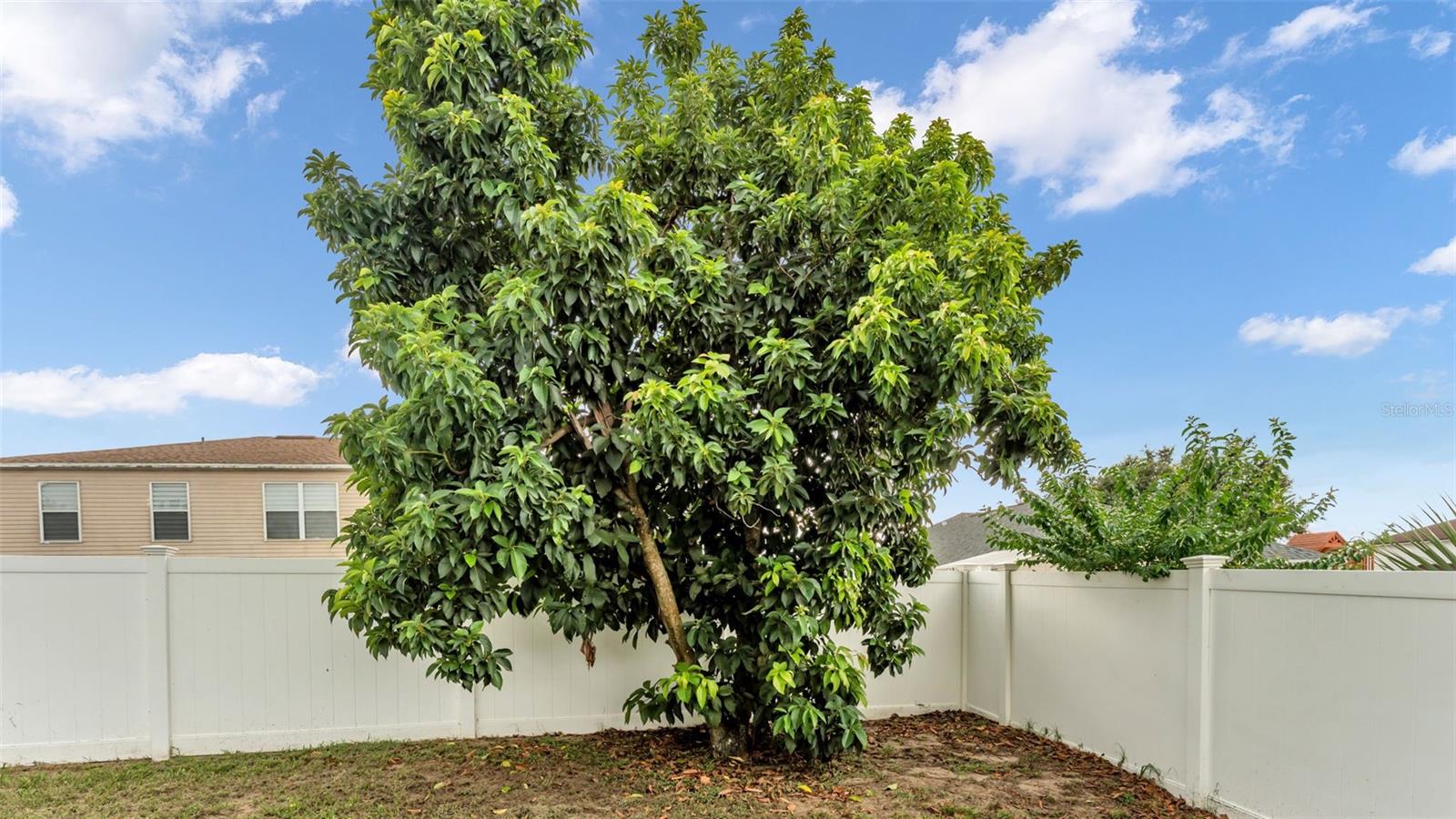 WELLINGTON VIEW - Residential