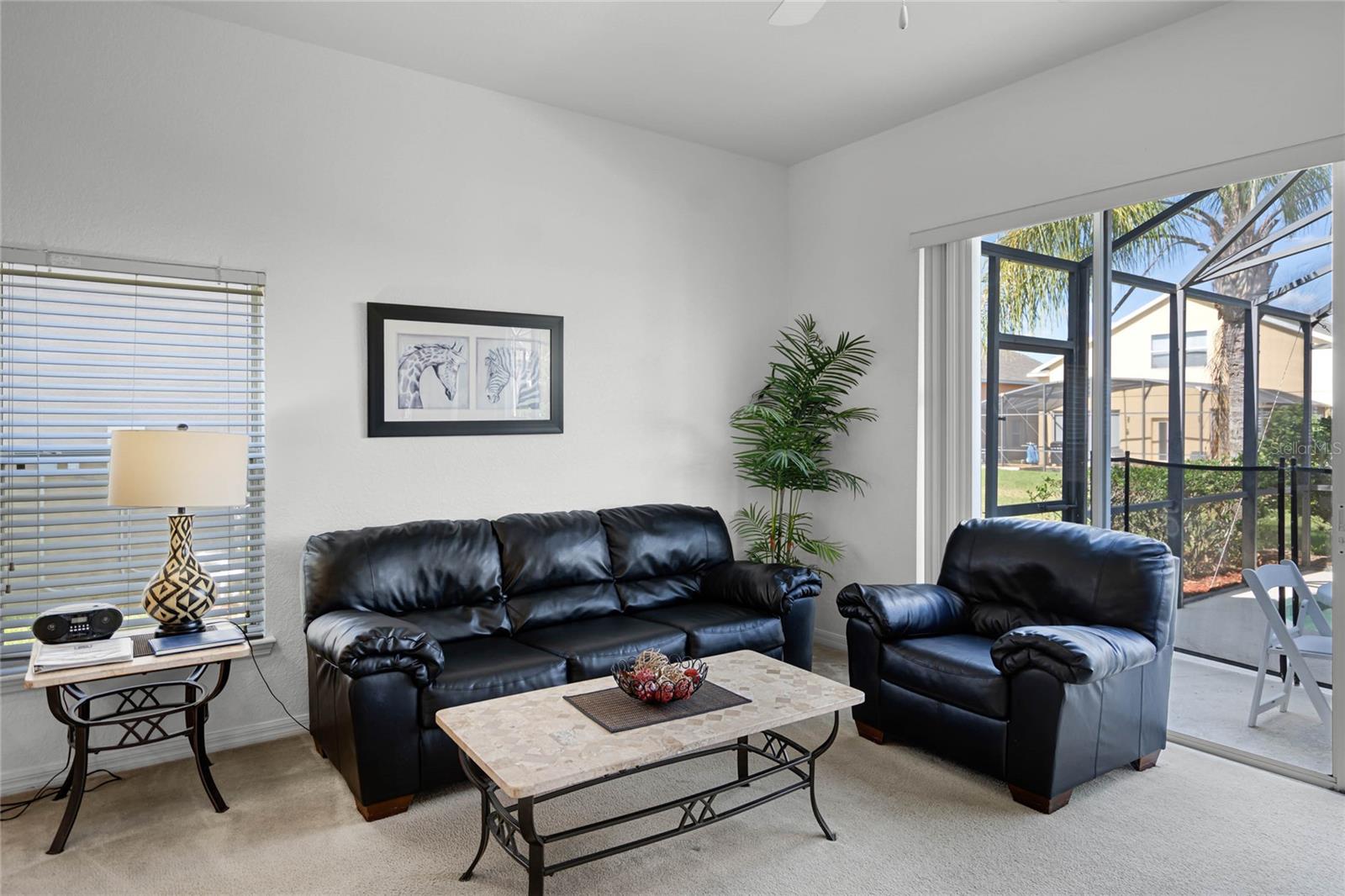 509 CADIZ LOOP