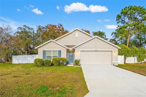 Photo of 2448 Dothan Avenue, Spring Hill, FL 34609 (MLS # W7881812)