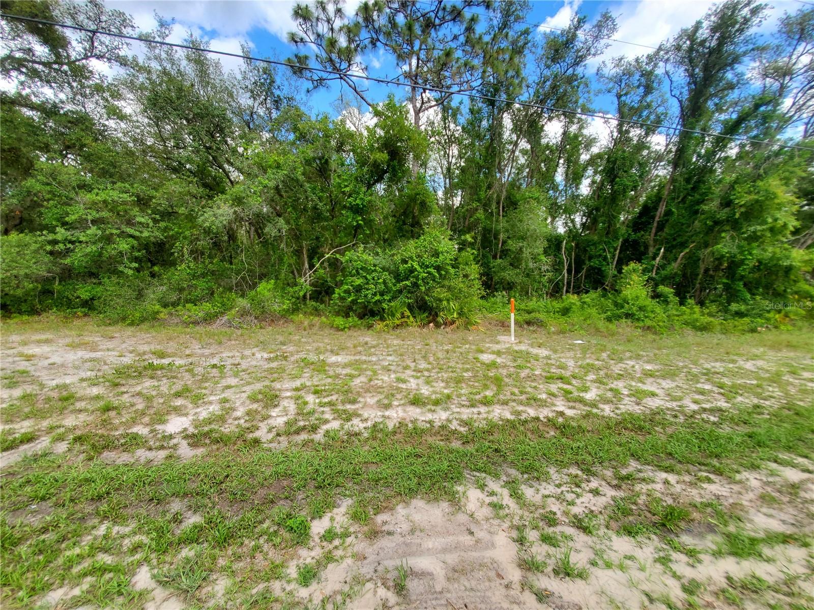 CHEAP LAND!! Build your dream home on this 50' x 300' wooded lot. This virgin land is ready for your new construction or buy now and build later. Build at your own pace! There are no time constraints on building. Site built homes or modular homes permitted. No mobile homes allowed. Located within 15 minutes from 100,000+ acres of public forest recreation area which offers camping, hiking, boating, canoeing, kayaking, hunting, and fishing. Wanna go to the beach... Gulf beach is only 45 minutes away. Only 57 miles to Disney and Orlando attractions. Easy access to I-75 in with an easy 38 mile commute to Tampa.