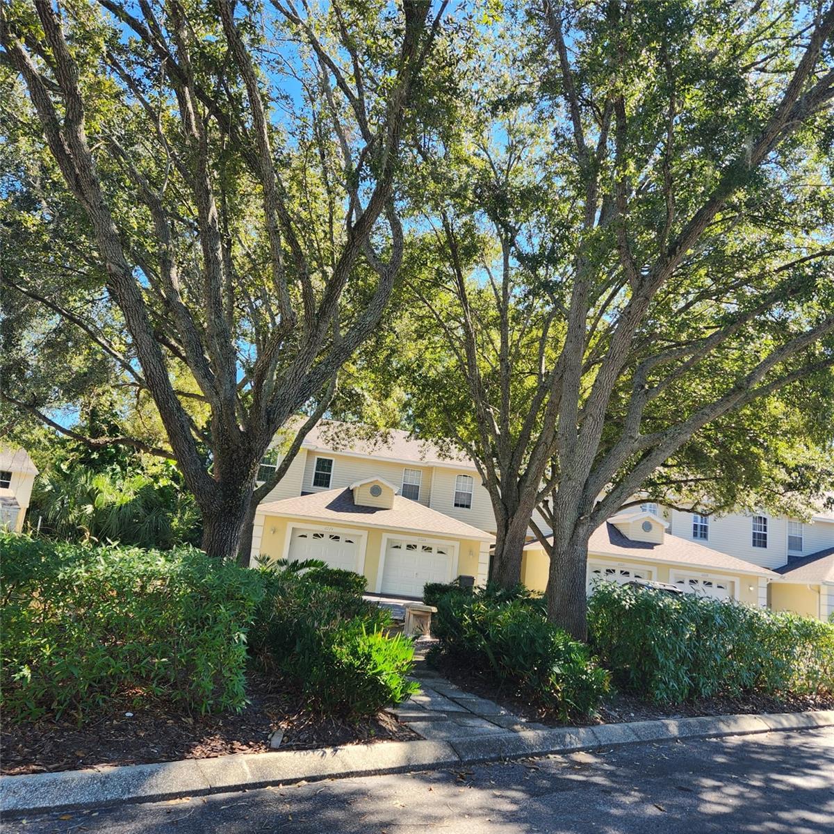 CEDAR HOLLOW CONDO TOWNH - Residential