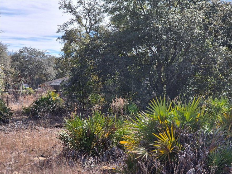 1 ACRE LOT IN NORTH SOUTH ESTATES! This lot is located in a small subdivision where you can build your dream home or place a new manufactured home, Centrally located between Williston and Bronson with easy access to Gainesville just 30 minutes away. Come see what rural country living in Levy County has to offer. Plenty of outdoor activities are close by such as salt and fresh water fishing, swimming in nearby springs. If diving is your thing Devils Den, Blue Grotto are just minutes away. Manatee springs just 20 minutes away. Hunting and horseback riding trails are within 30 minutes. Check out this beautiful lot and bring your vision of your next homestead.