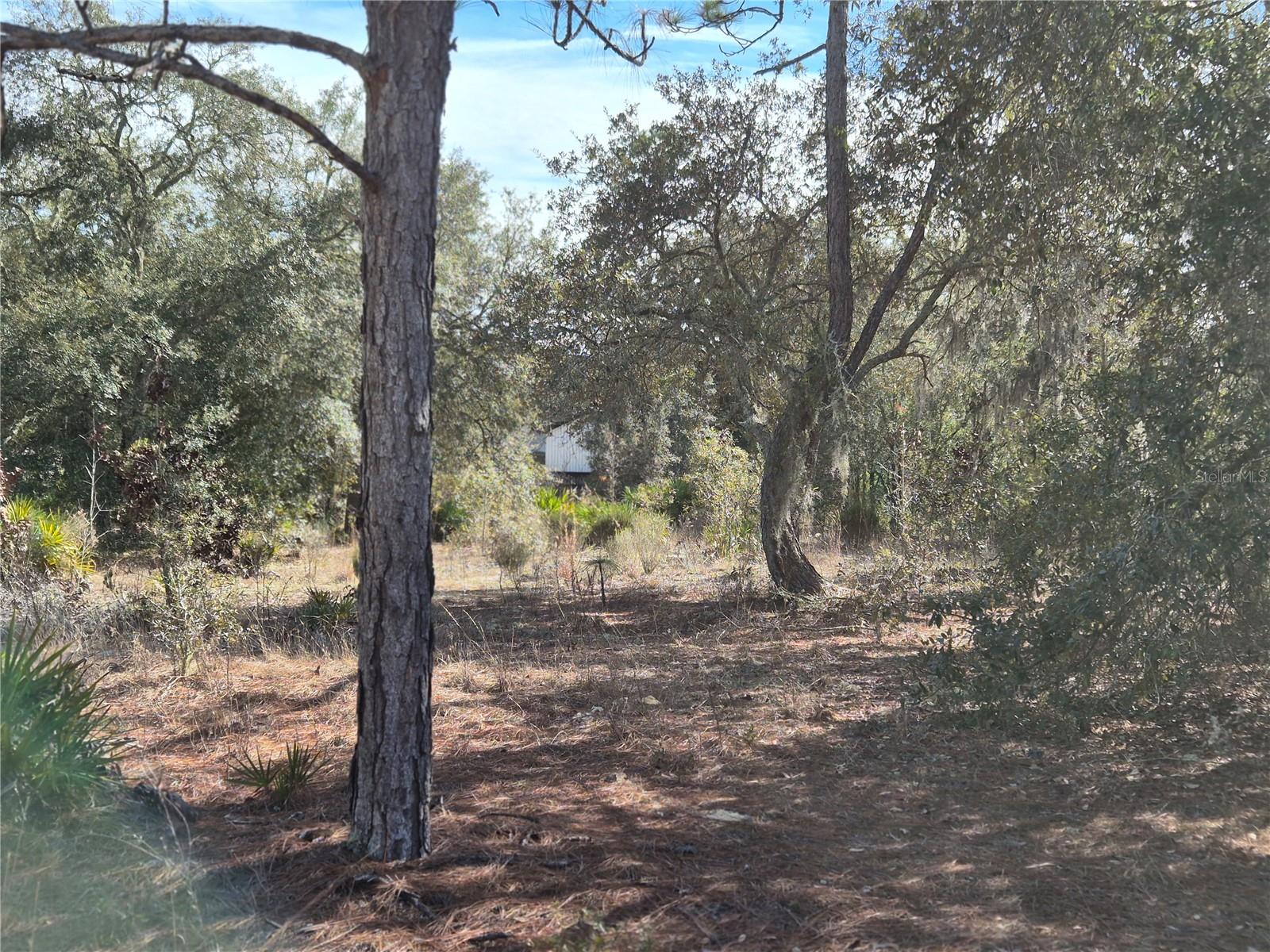 NORTH-SOUTH ESTATE - Land