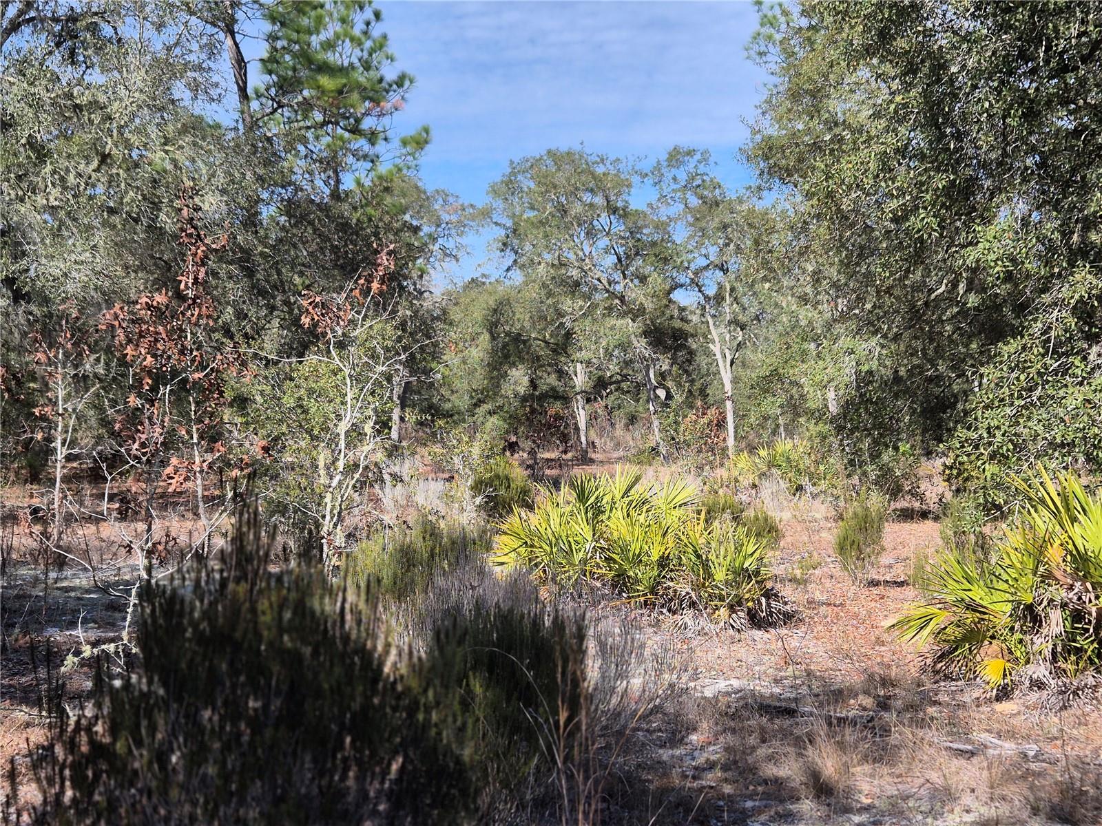 NORTH-SOUTH ESTATE - Land