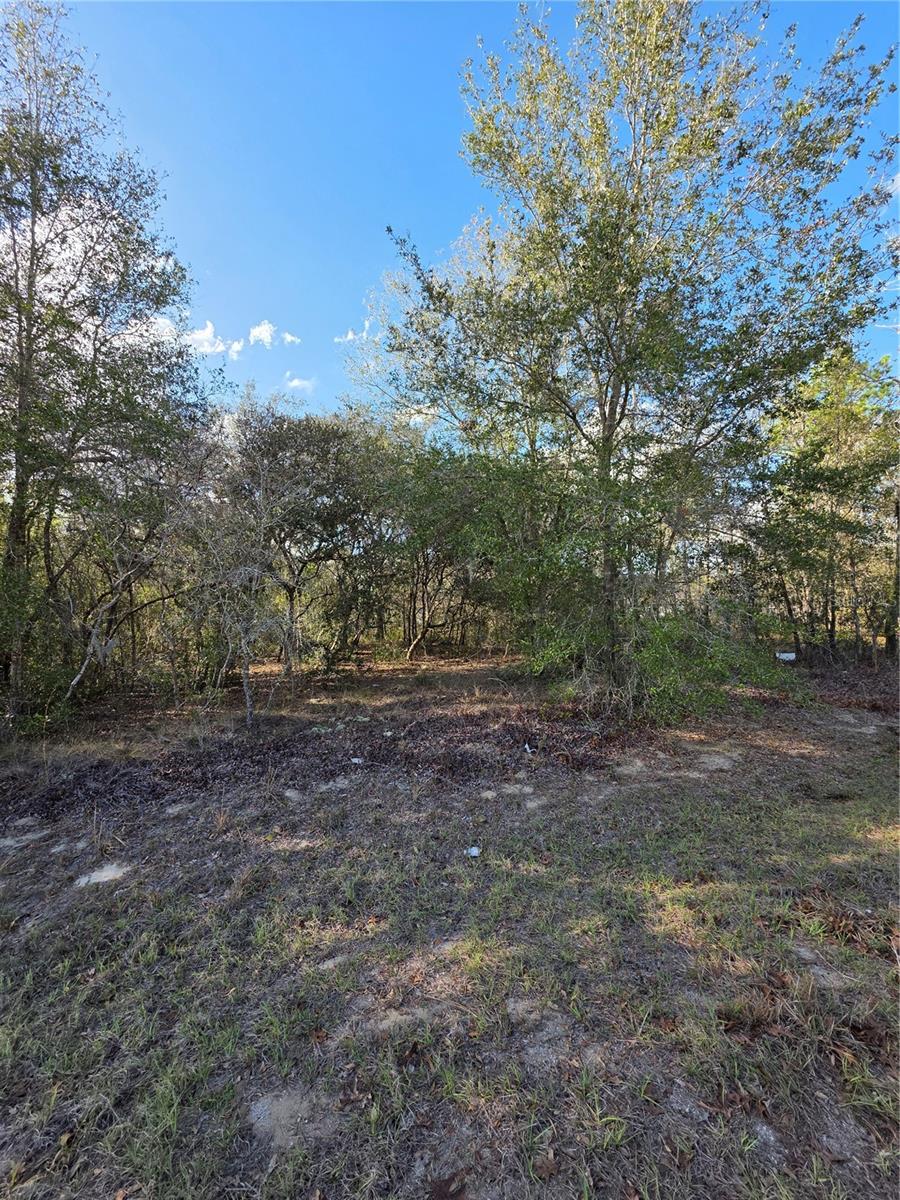 TBD LOCUST LOOP CIRCLE