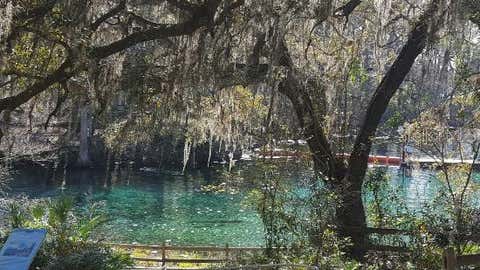 Tiny photo for 8851 NW 115th Street, Chiefland, FL 32626 (MLS # GC541065)