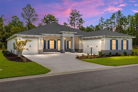 10080 SW 106TH CIRCLE OCALA FL 34481