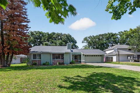 Photo of 3303 Foxboro Court, Mount Dora, FL 32757 (MLS # G5114181)
