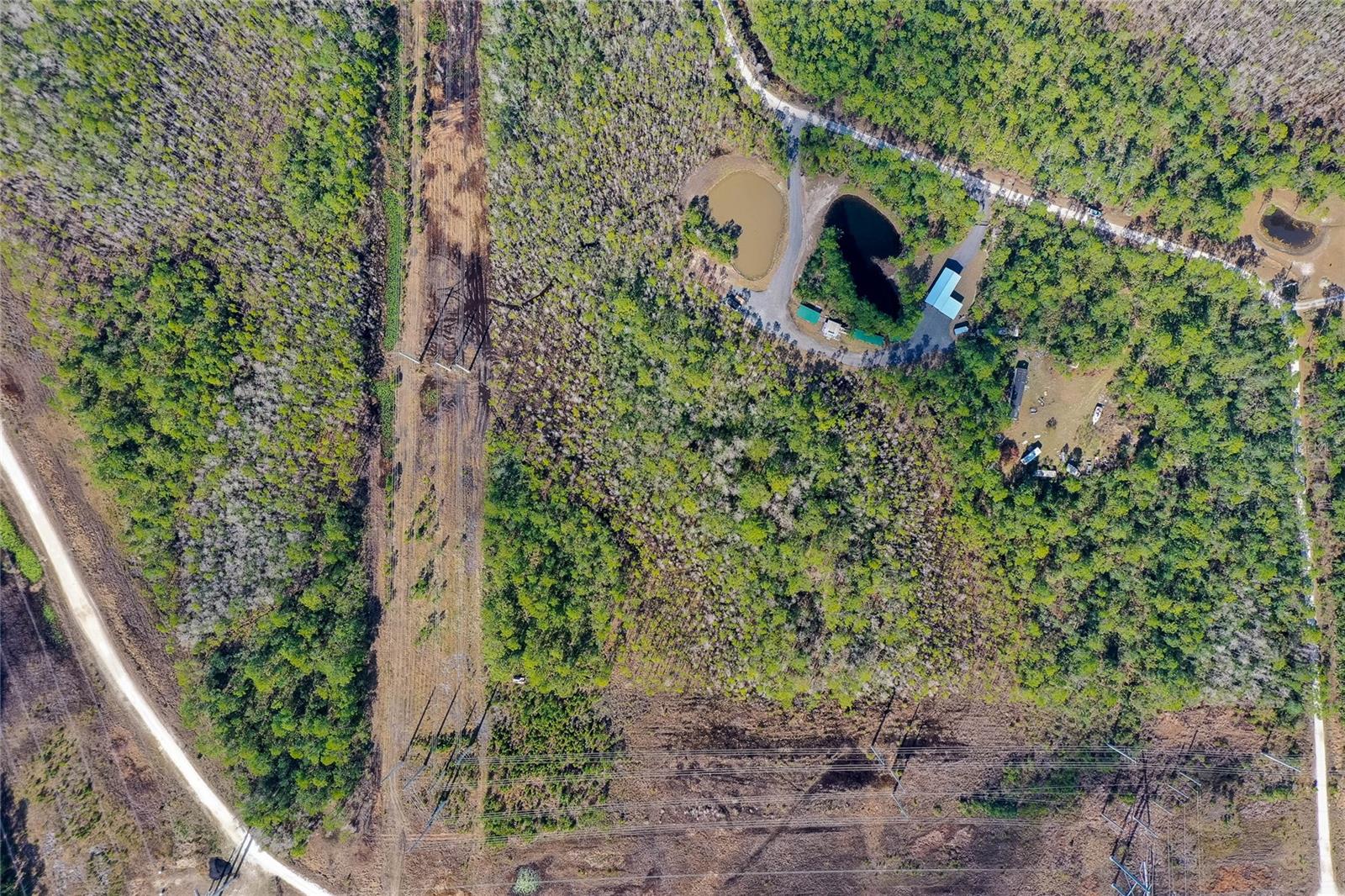 PALMETTO ACRES - Residential