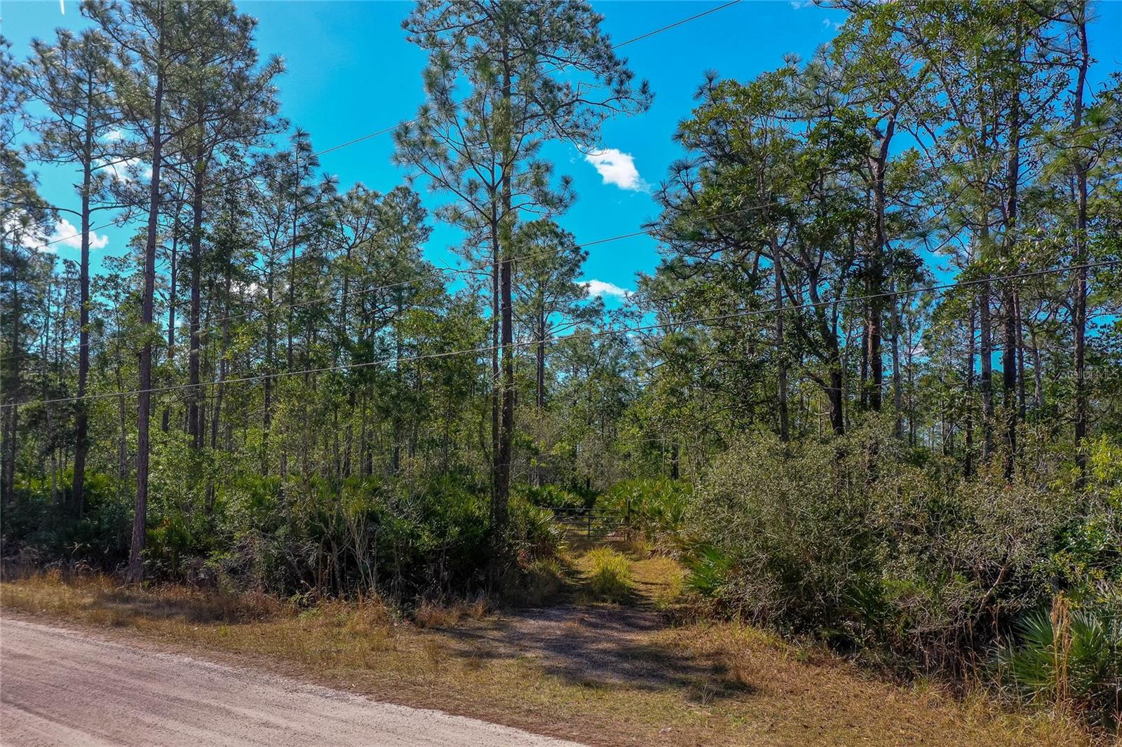 PALMETTO ACRES - Residential