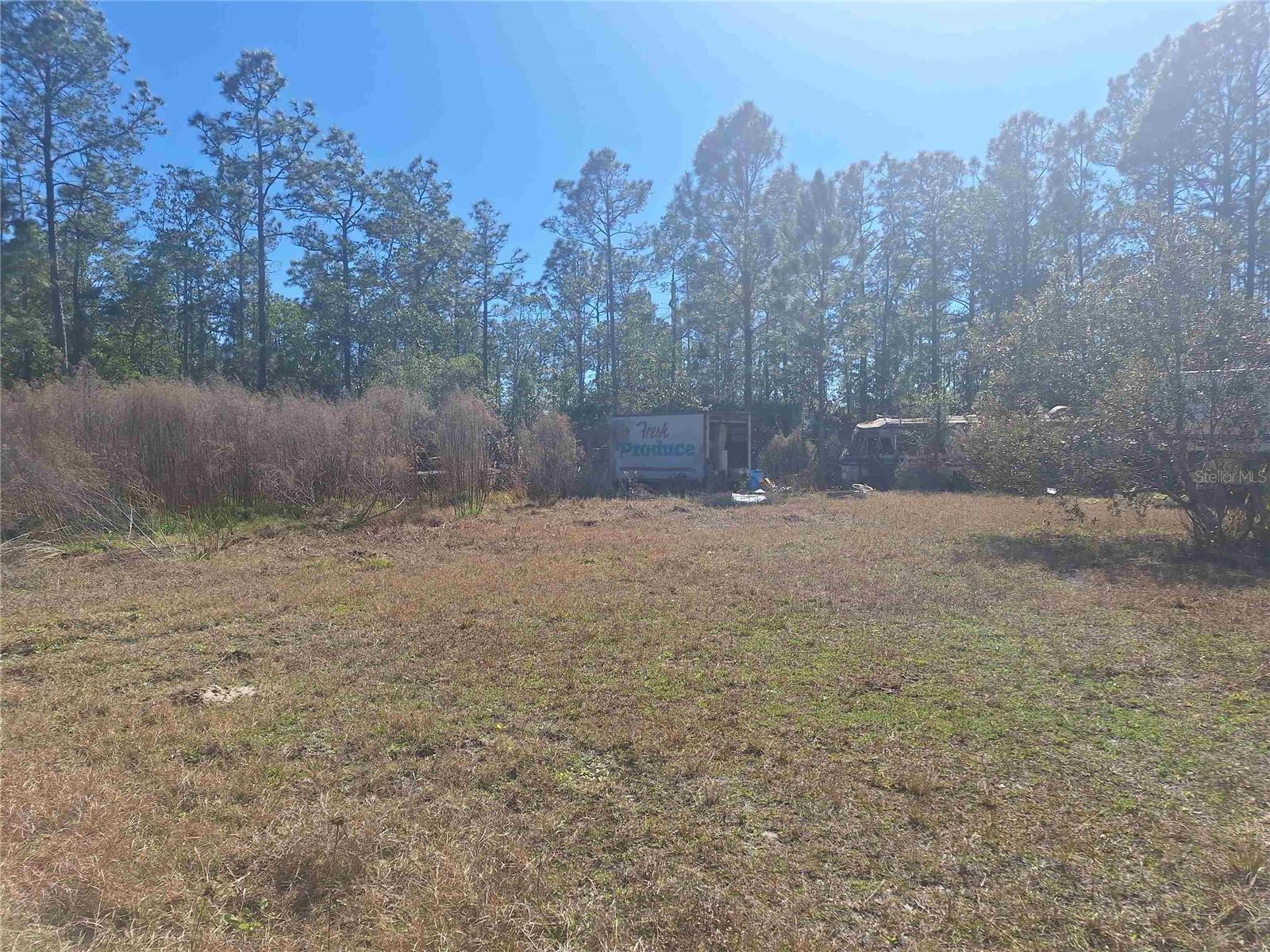 PALMETTO ACRES - Residential