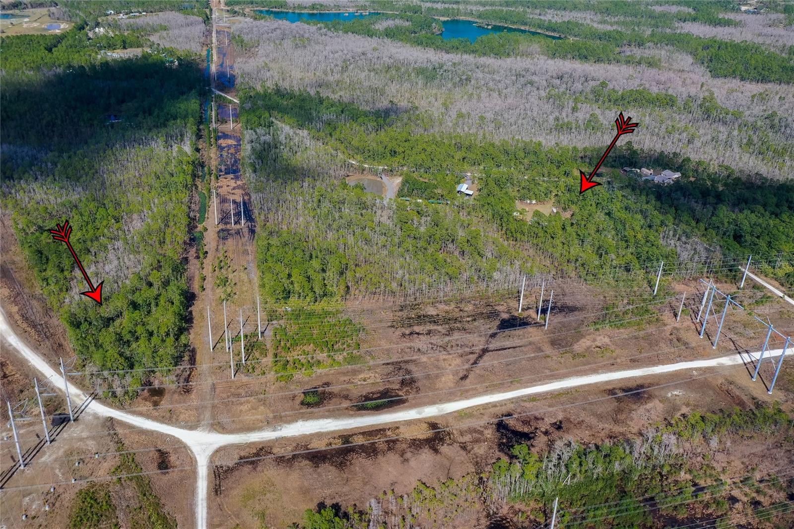 PALMETTO ACRES - Residential