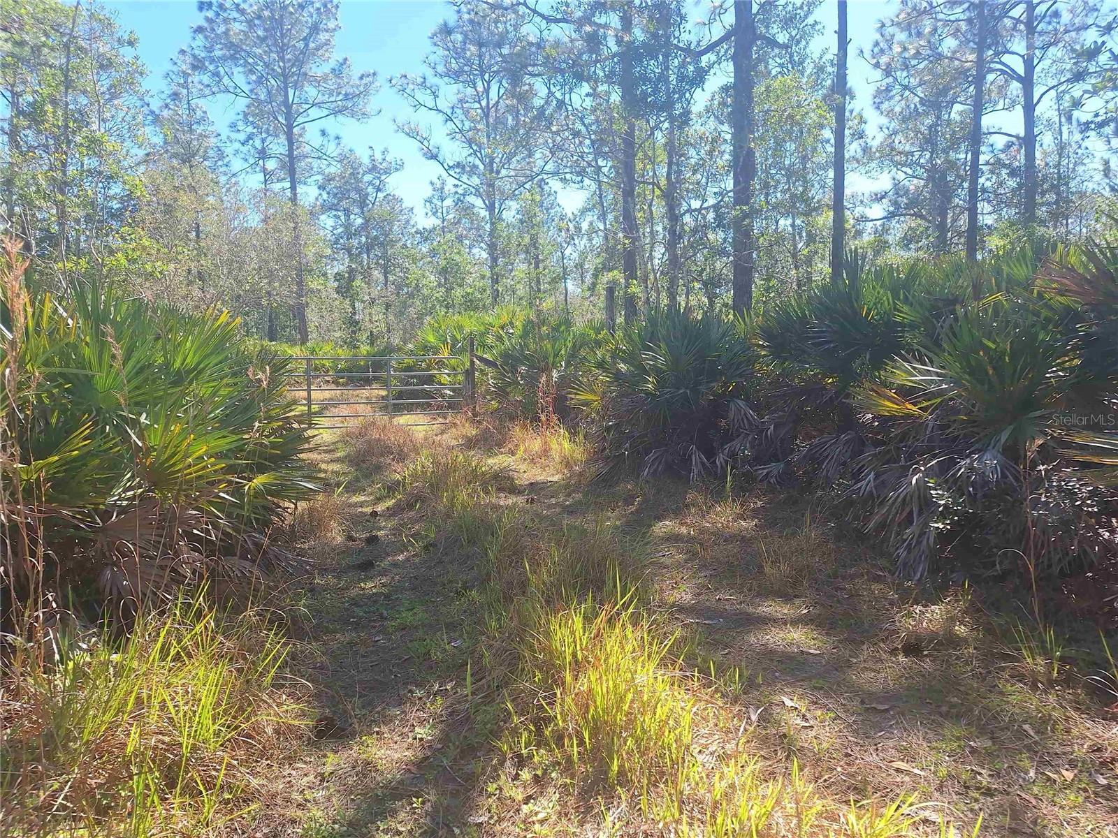 PALMETTO ACRES - Residential