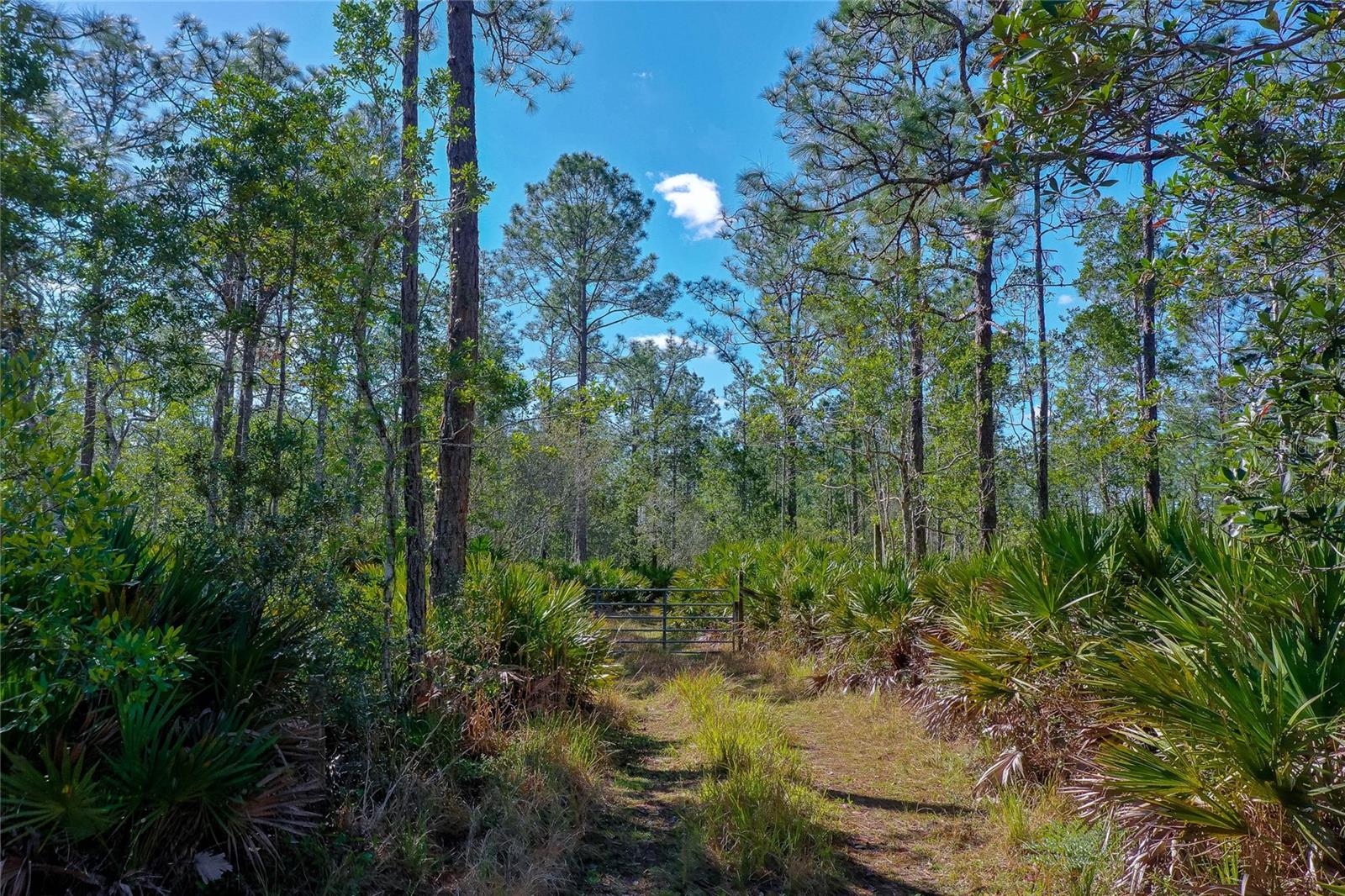 PALMETTO ACRES - Residential