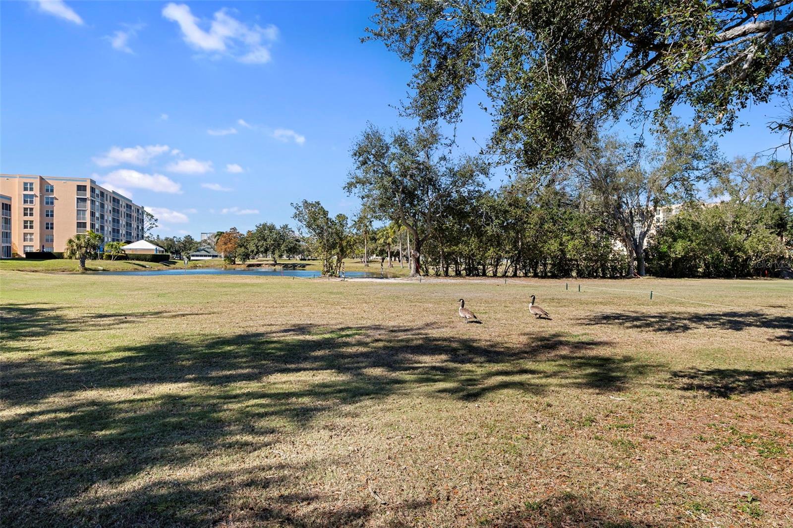 THE VILLAS AT PINEBROOK PH II - Residential