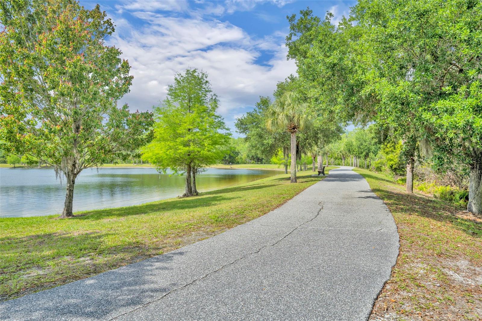 RANDAL PARK PH 1A - Residential
