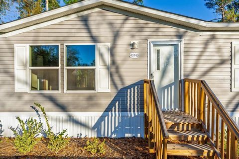 Tiny photo for 43740 Sunset Drive, Paisley, FL 32767 (MLS # G5109007)