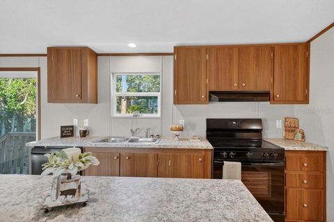 Tiny photo for 43740 Sunset Drive, Paisley, FL 32767 (MLS # G5109007)