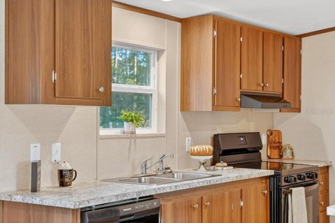 Tiny photo for 43740 Sunset Drive, Paisley, FL 32767 (MLS # G5109007)