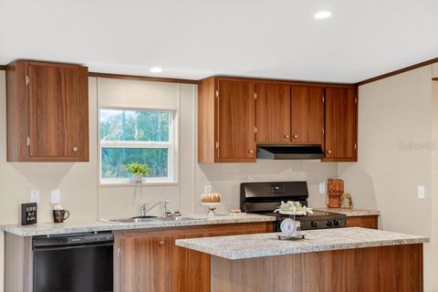 Tiny photo for 43740 Sunset Drive, Paisley, FL 32767 (MLS # G5109007)