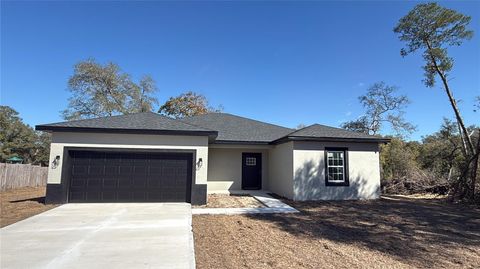 Photo of 17167 SW 42nd Court, Ocala, FL 34473 (MLS # O6377024)