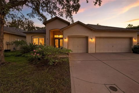 Photo of 19213 Pelican Ridge Lane, Tampa, FL 33647 (MLS # TB8404931)