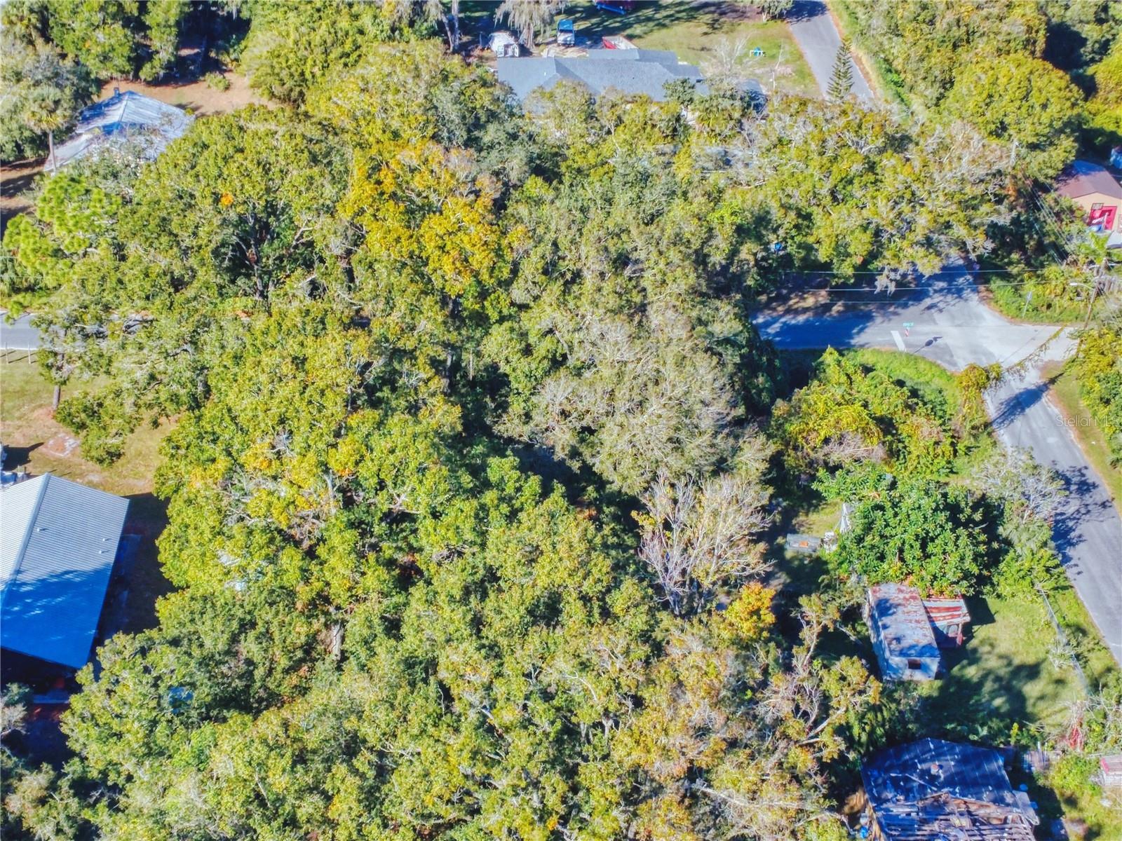 SCOTTSMOOR ANNEX - Land