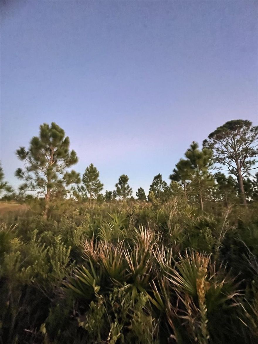 1.25 Acres in Viking Estates out of the flood zone. Easy access to the main asphalt road out of the community. There is power at the road and no wetlands in the area. Take advantage of this opportunity to build your new home. Lots of land to suite all your needs with sparse trees for shading.