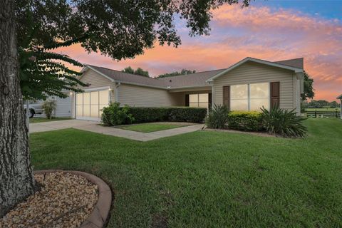 3562 AUBURNDALE AVENUE THE VILLAGES FL 32162