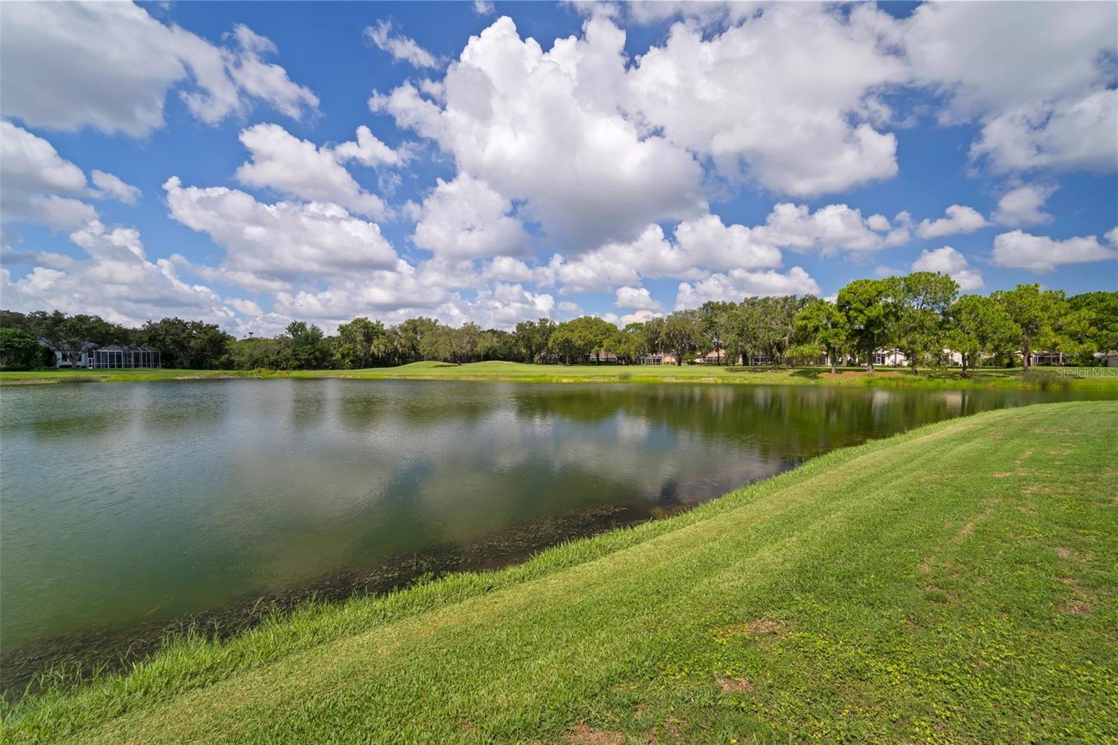 RIVER HILLS COUNTRY CLUB PARCE - Residential