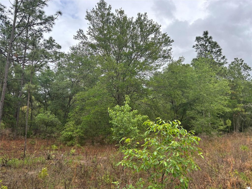 Photo of 0000 SW 19th Place, Ocala, FL 34481 (MLS # OM722505)