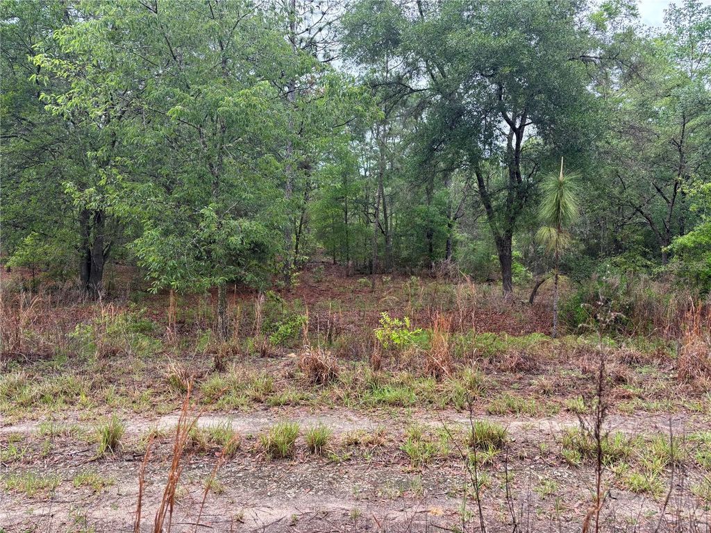 Photo of 0000 SW 19th Place, Ocala, FL 34481 (MLS # OM722505)