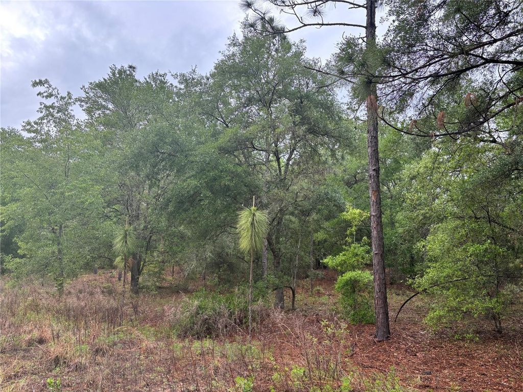 Photo of 0000 SW 19th Place, Ocala, FL 34481 (MLS # OM722505)