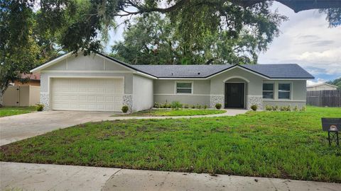 A home in KISSIMMEE