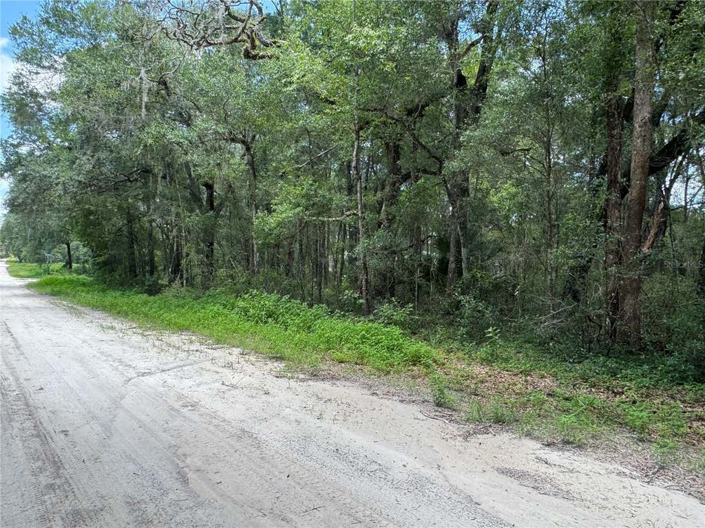 Photo of SW 139th Ct, Dunnellon, FL 34432 (MLS # OM728581)