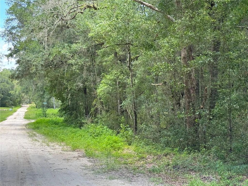 Photo of SW 139th Ct, Dunnellon, FL 34432 (MLS # OM728581)