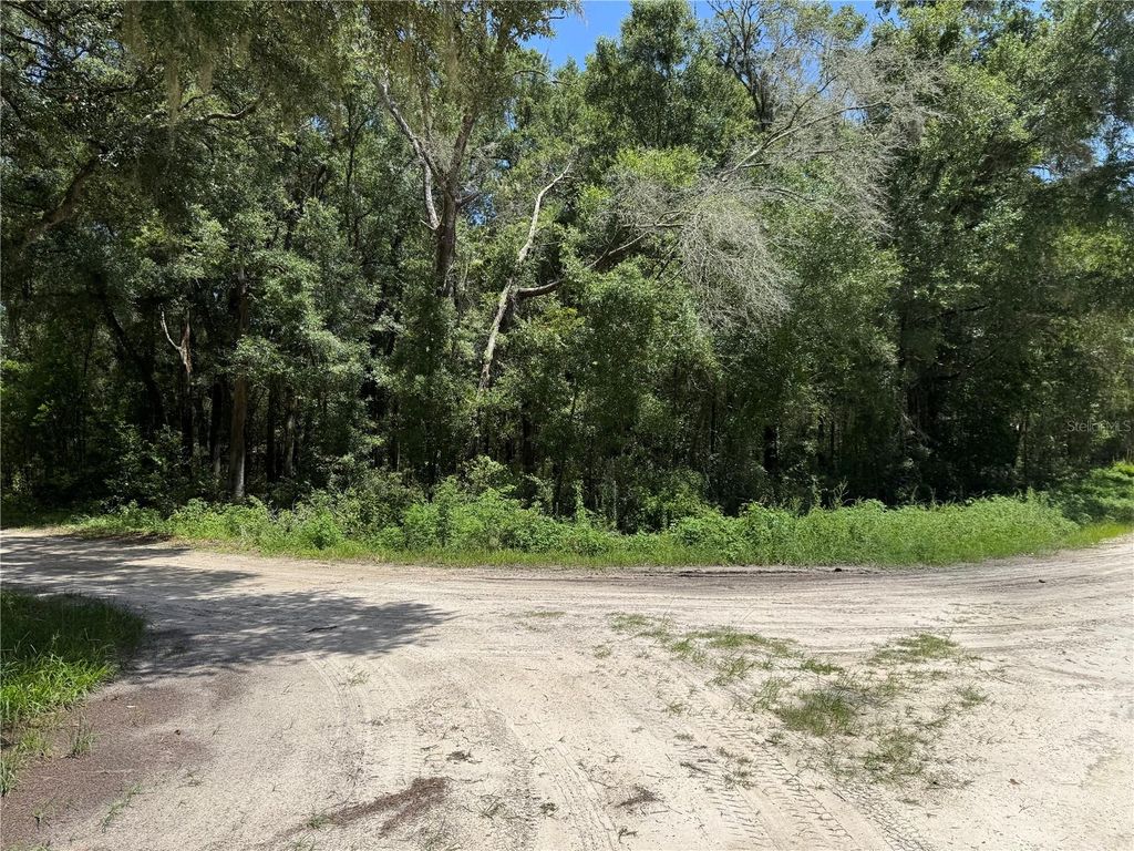 Photo of SW 139th Ct, Dunnellon, FL 34432 (MLS # OM728581)