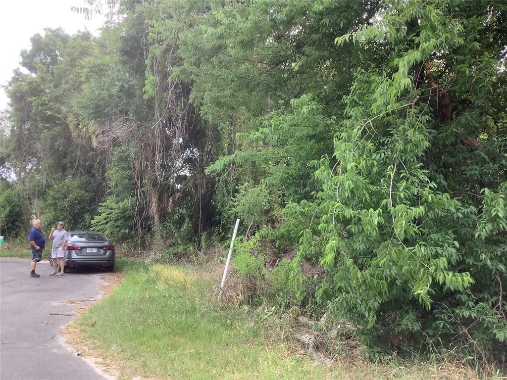 Photo of 0 Bahia Circle Lane, Ocala, FL 34472 (MLS # O6405435)