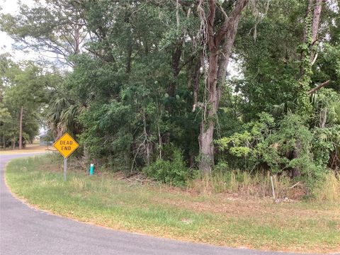 Tiny photo for 0 Bahia Circle Lane, Ocala, FL 34472 (MLS # O6405435)
