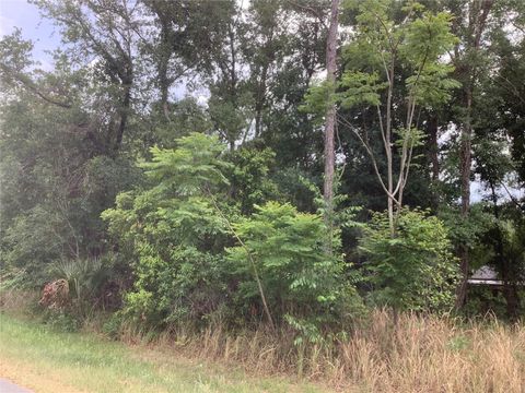 Tiny photo for 0 Bahia Circle Lane, Ocala, FL 34472 (MLS # O6405435)