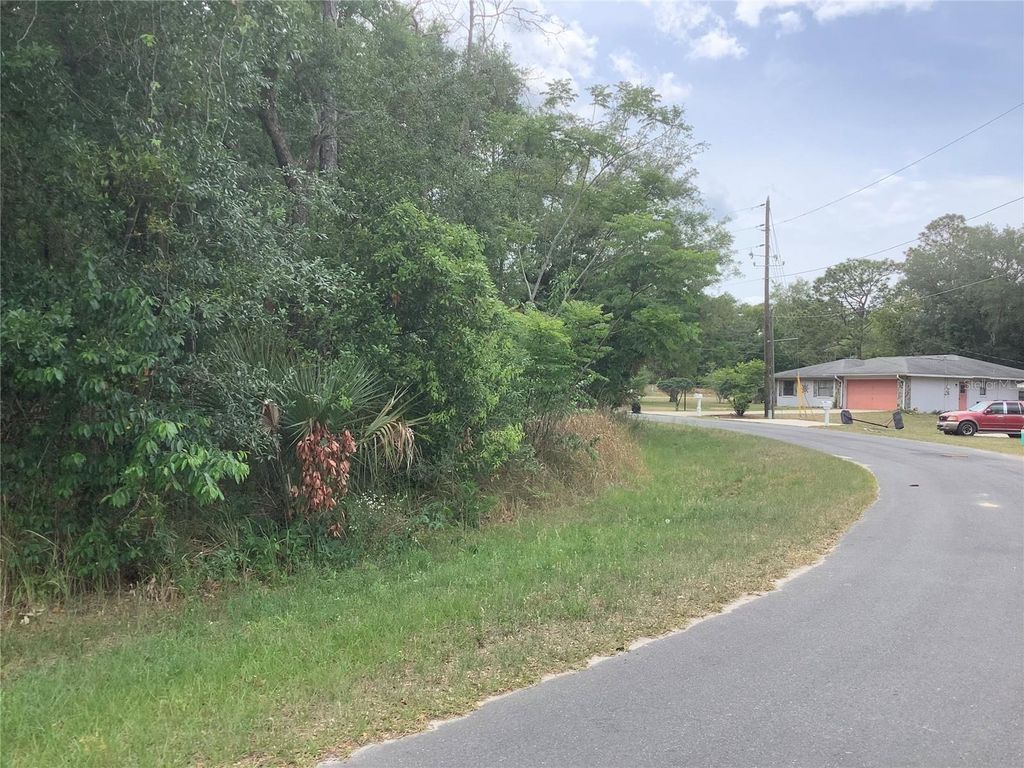 Photo of 0 Bahia Circle Lane, Ocala, FL 34472 (MLS # O6405435)