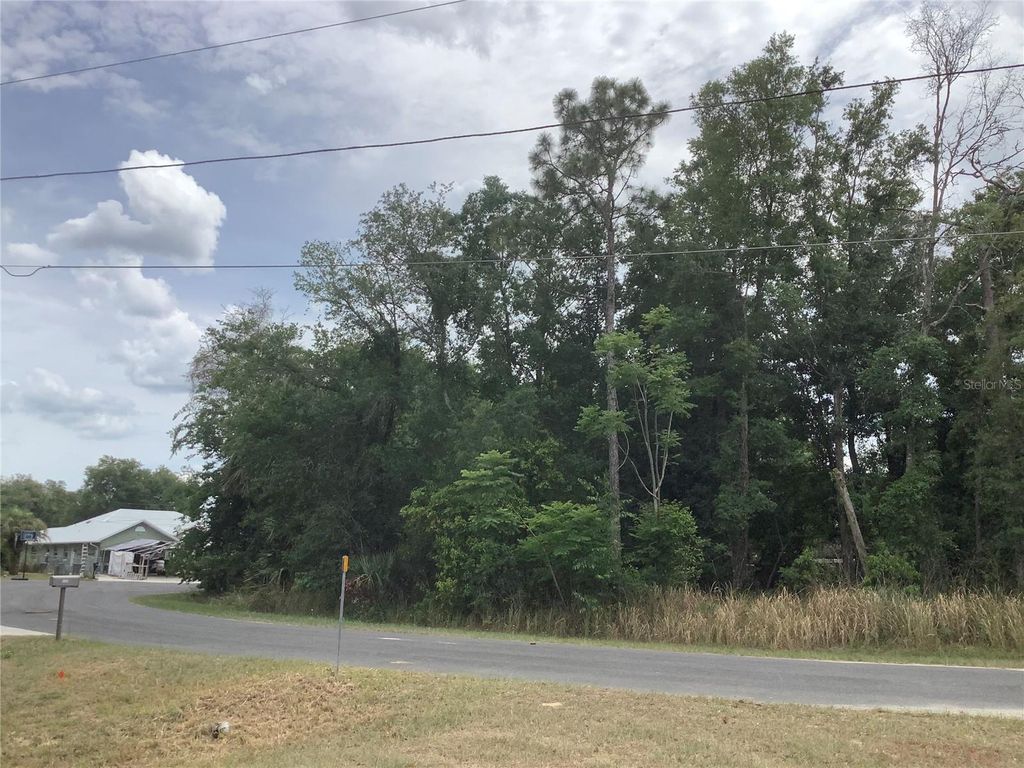 Photo of 0 Bahia Circle Lane, Ocala, FL 34472 (MLS # O6405435)