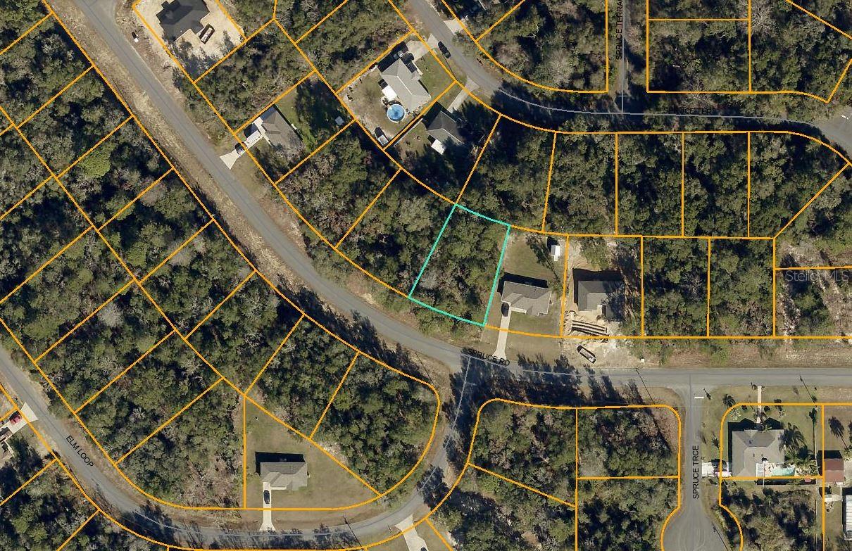 SILVER SPGS SHORES UN 13 - Land