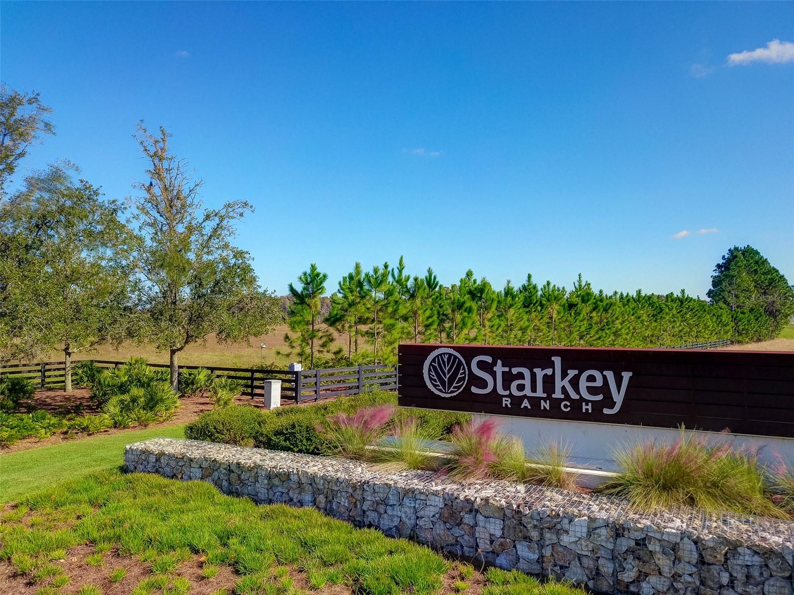 4012 DRAGONFLY TRAIL